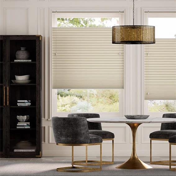 Top Down/Bottom Up Pleated Blinds